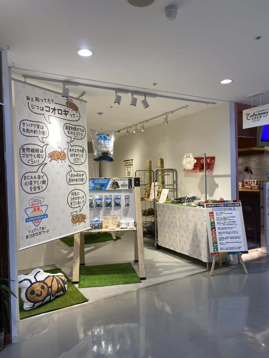 【出展情報】6月4日から(土)からラフォーレ原宿にてConfectionely コオロギショップ