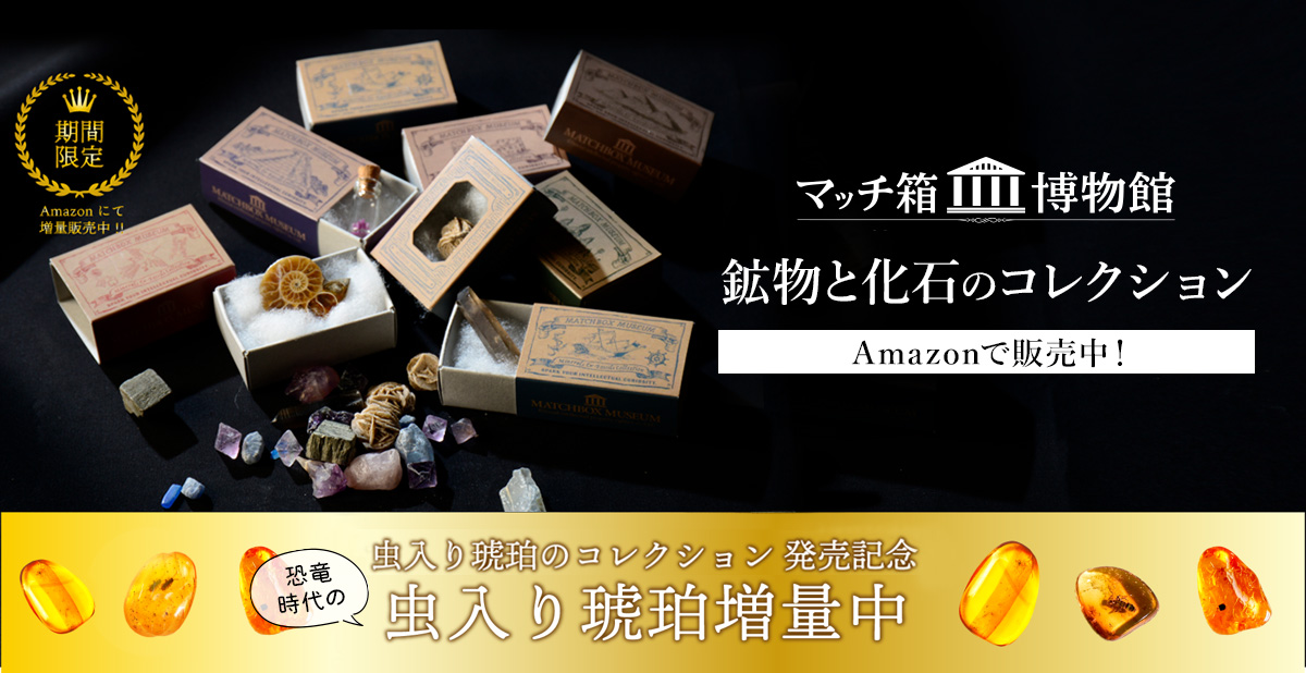 「マッチ箱博物館　鉱物と化石のコレクション」が今だけ「恐竜時代の虫入り琥珀」増量中。新商品発売を記念して