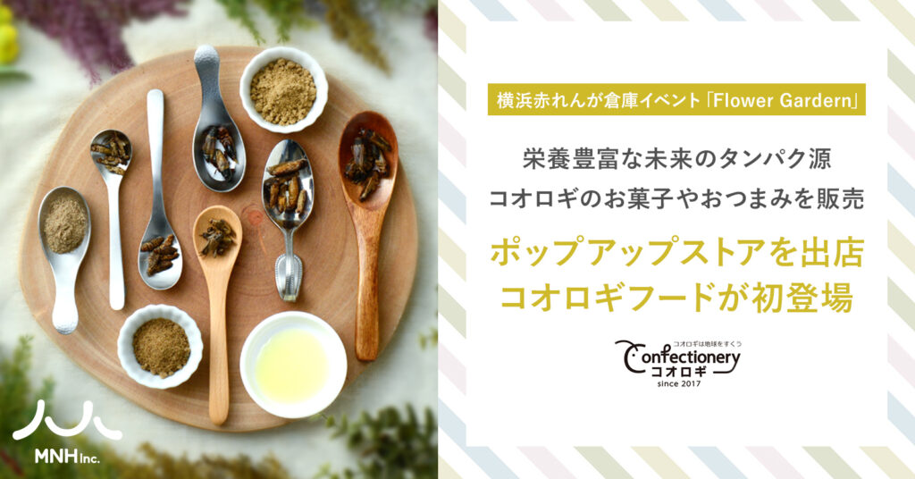コンフェクショナリー・コオロギ