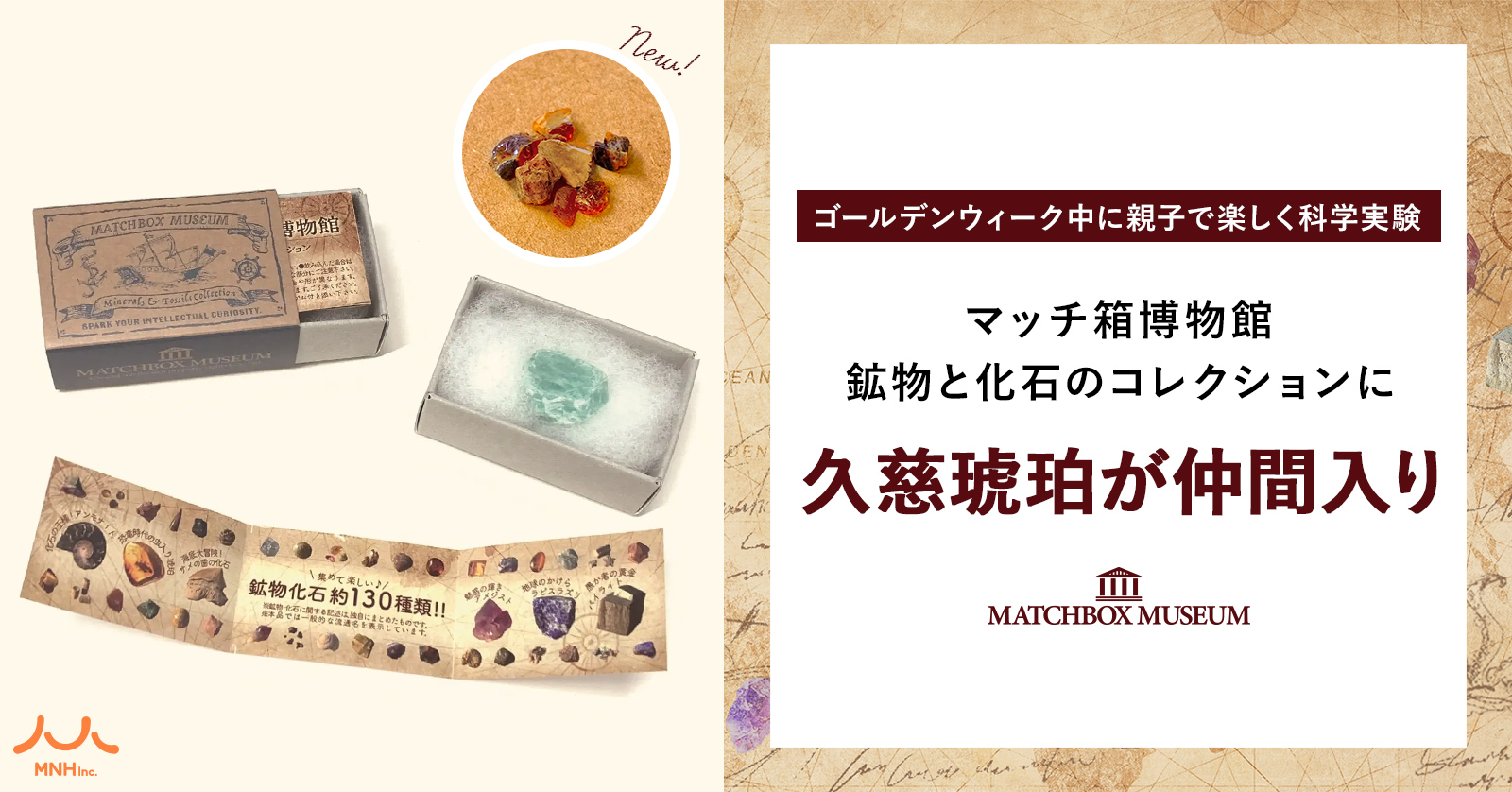 「マッチ箱博物館　鉱物と化石のコレクション」に「久慈琥珀（くじこはく）」が仲間入り。約9,000万年前の貴重な日本産琥珀