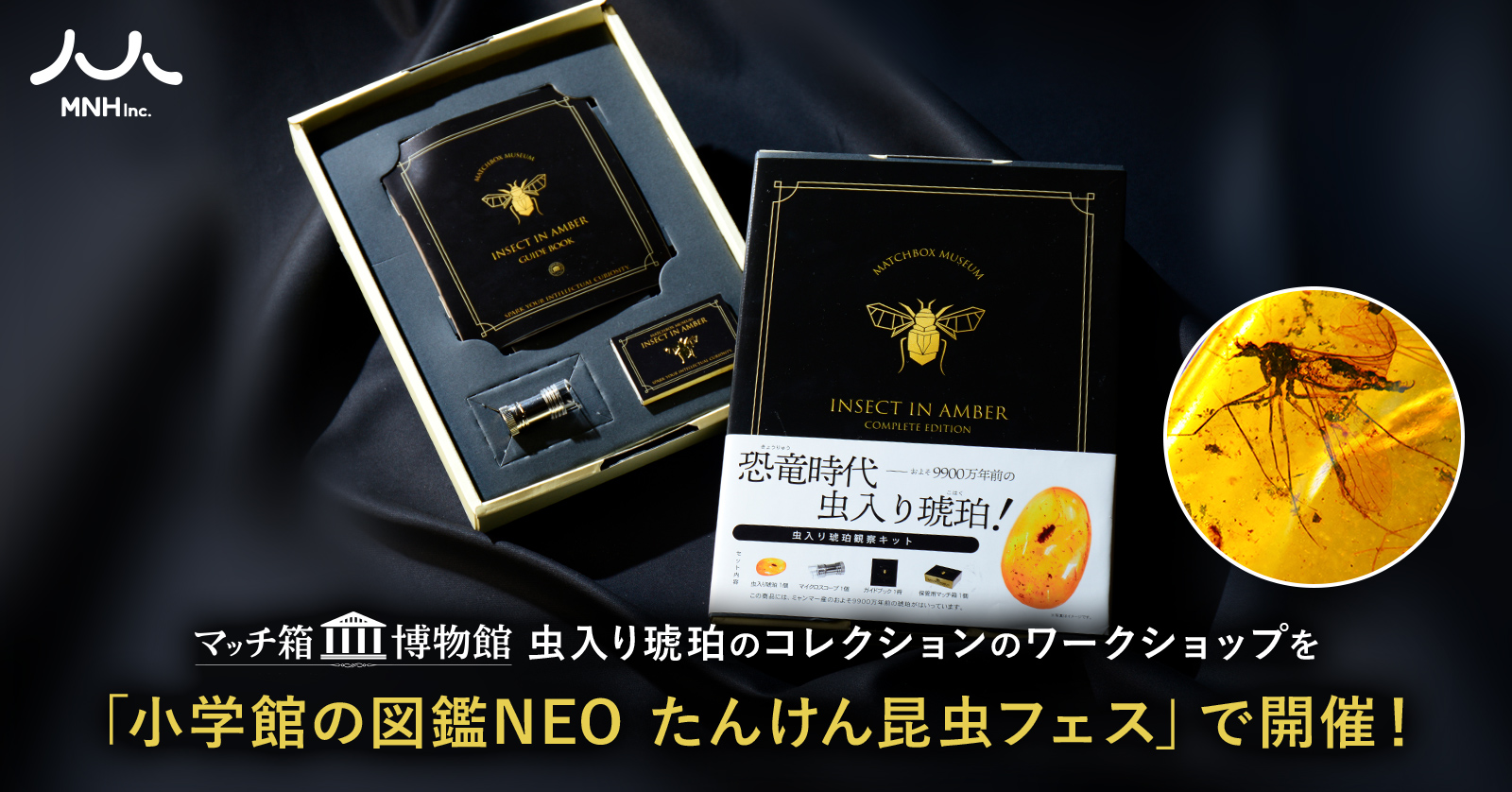 マッチ箱博物館 虫入り琥珀のコレクションのワークショップを「小学館の図鑑NEO たんけん昆虫フェス」で開催！